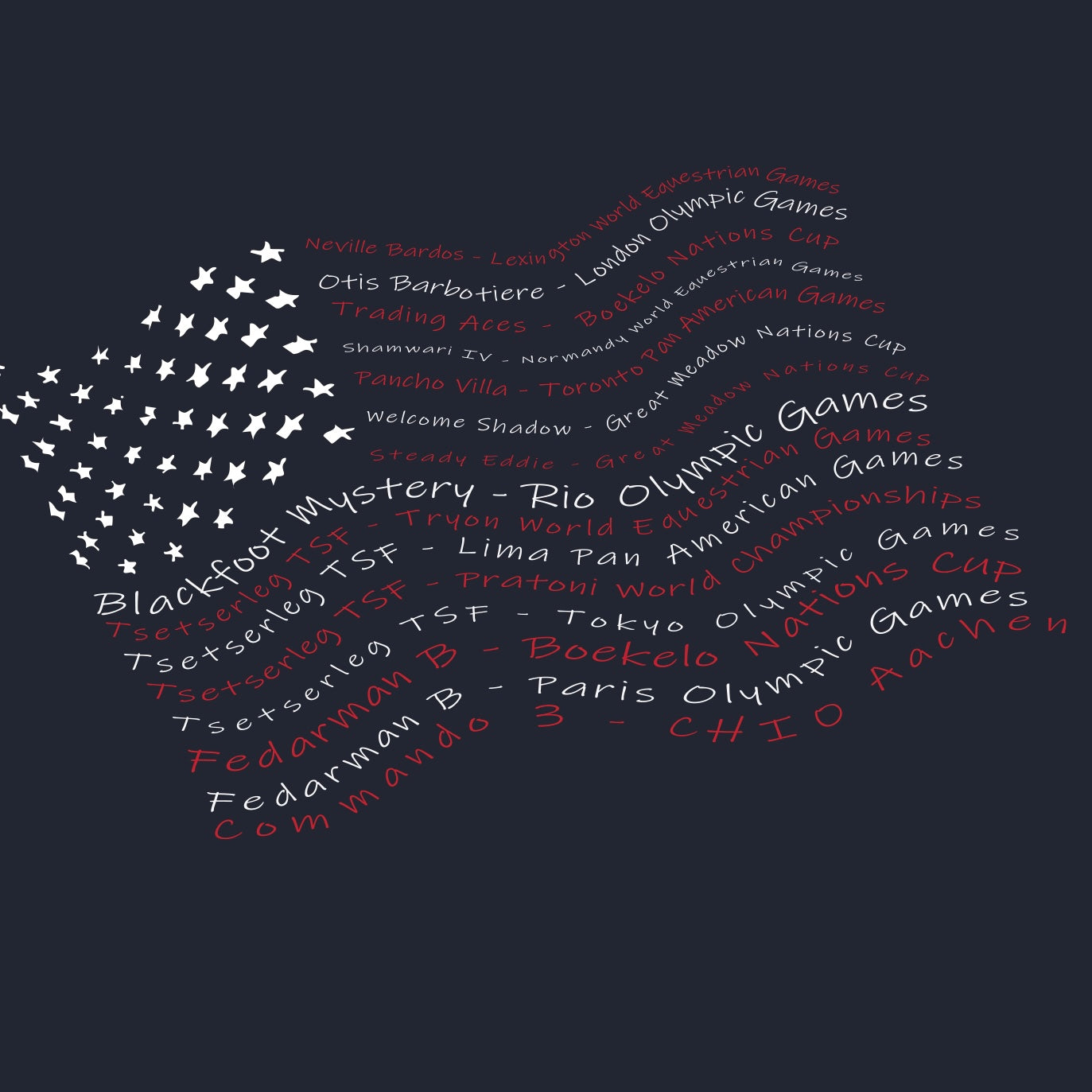 USA Cropped Tee