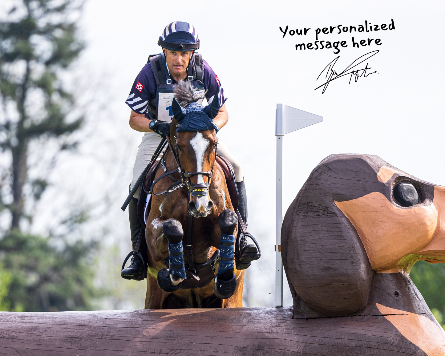 Signed & Personalized 8x10 Horse Photos