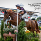 Signed & Personalized 8x10 Horse Photos