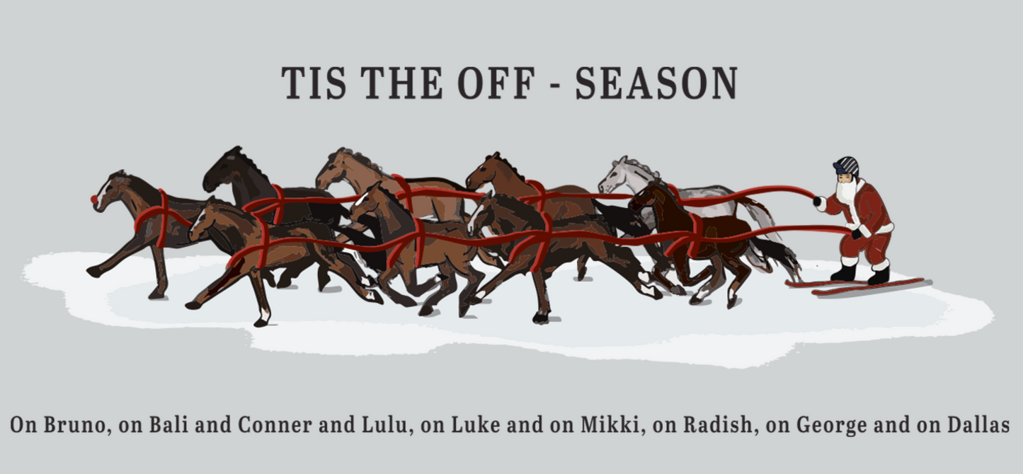 Presale Item - Boyd's Sleigh Longsleeve Tee